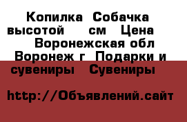 Копилка «Собачка» высотой 8,5 см › Цена ­ 132 - Воронежская обл., Воронеж г. Подарки и сувениры » Сувениры   